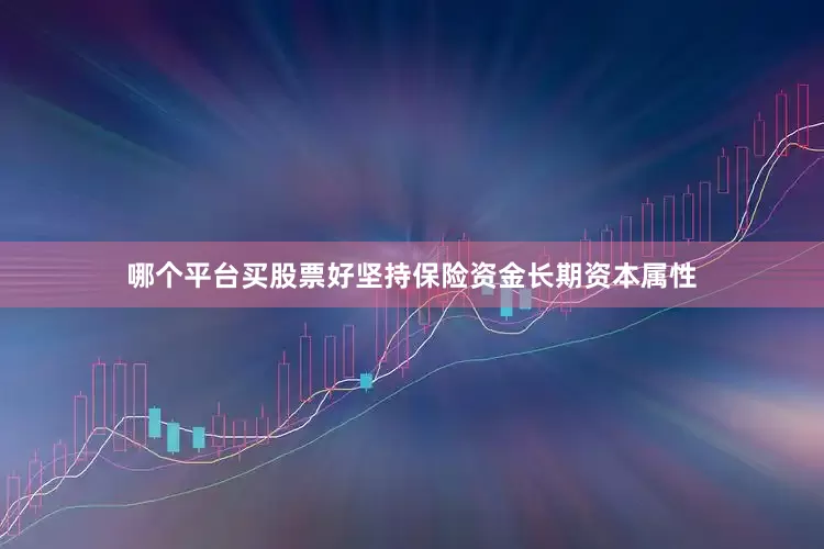 哪个平台买股票好坚持保险资金长期资本属性