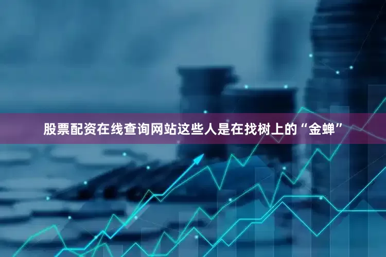 股票配资在线查询网站这些人是在找树上的“金蝉”