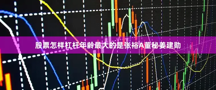 股票怎样杠杆　　年龄最大的是张裕A董秘姜建勋