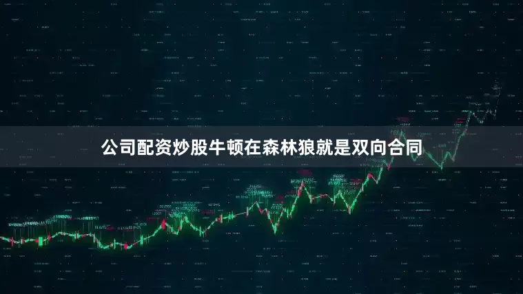 公司配资炒股牛顿在森林狼就是双向合同