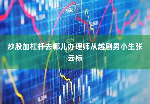 炒股加杠杆去哪儿办理师从越剧男小生张云标